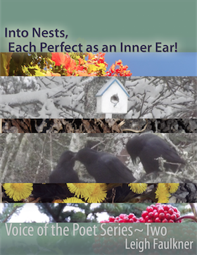cover_into_nests_small