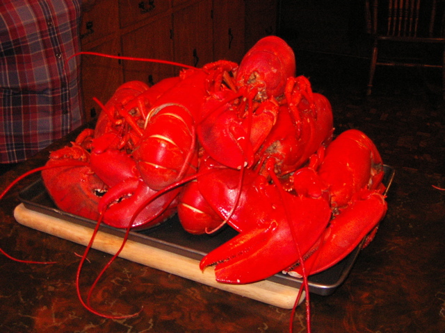 A Bit(e) of Nova Scotia
