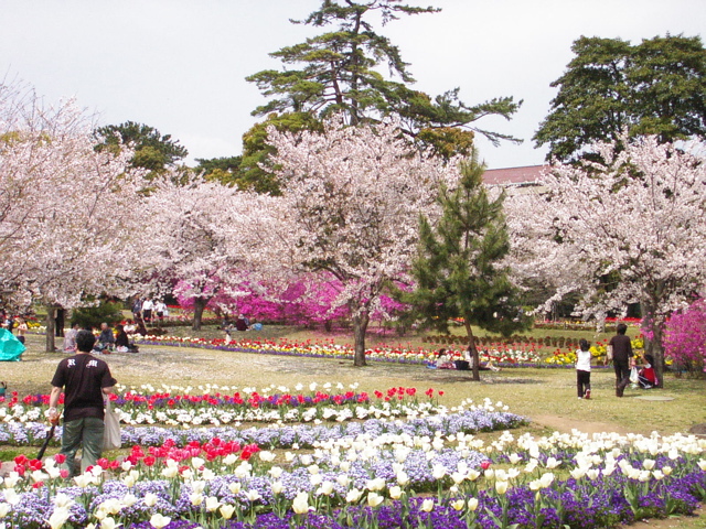 Beppu Park