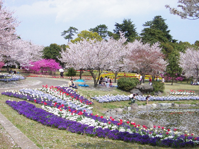 Beppu Park
