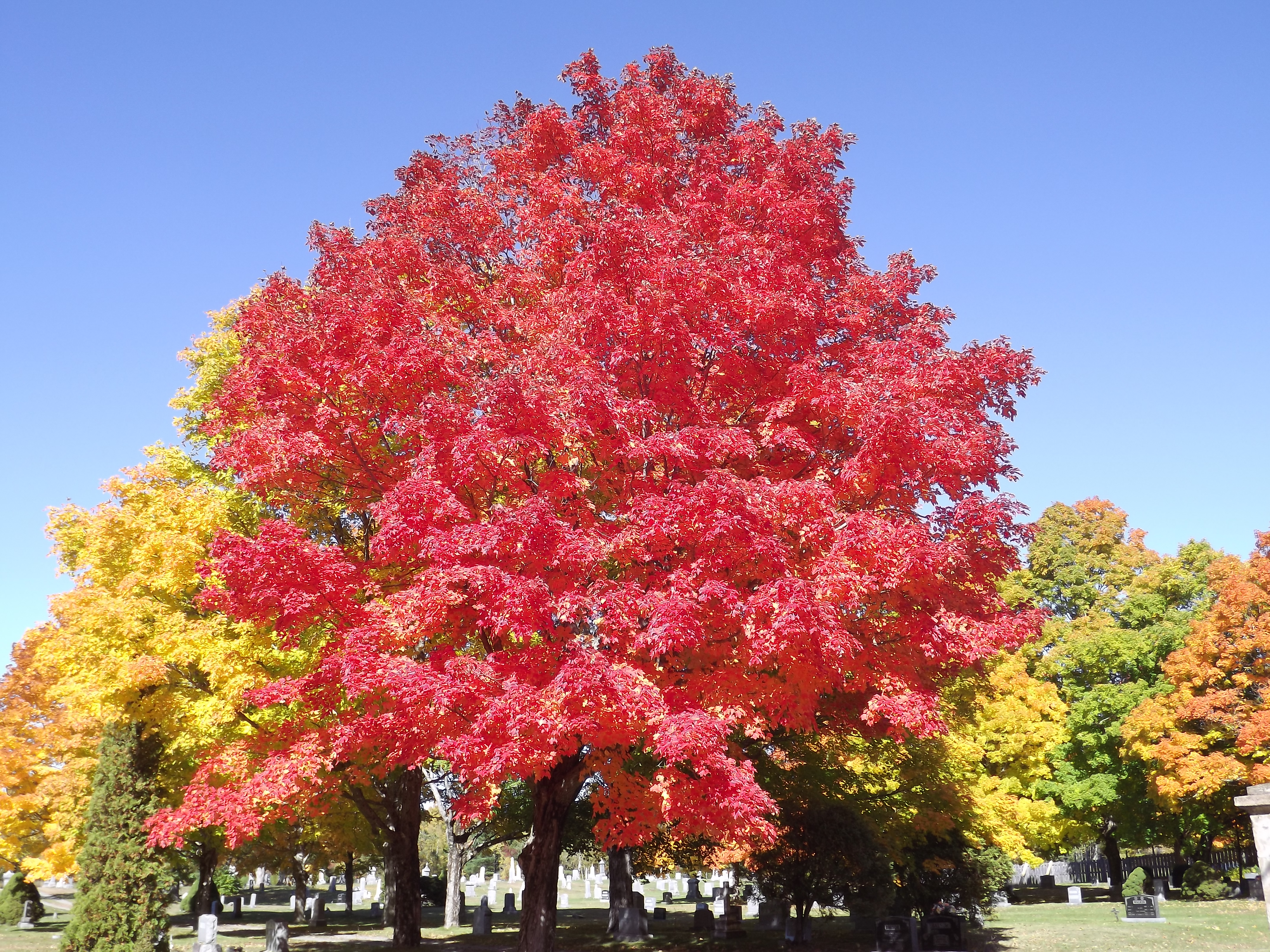 Aylesford, Nova Scotia