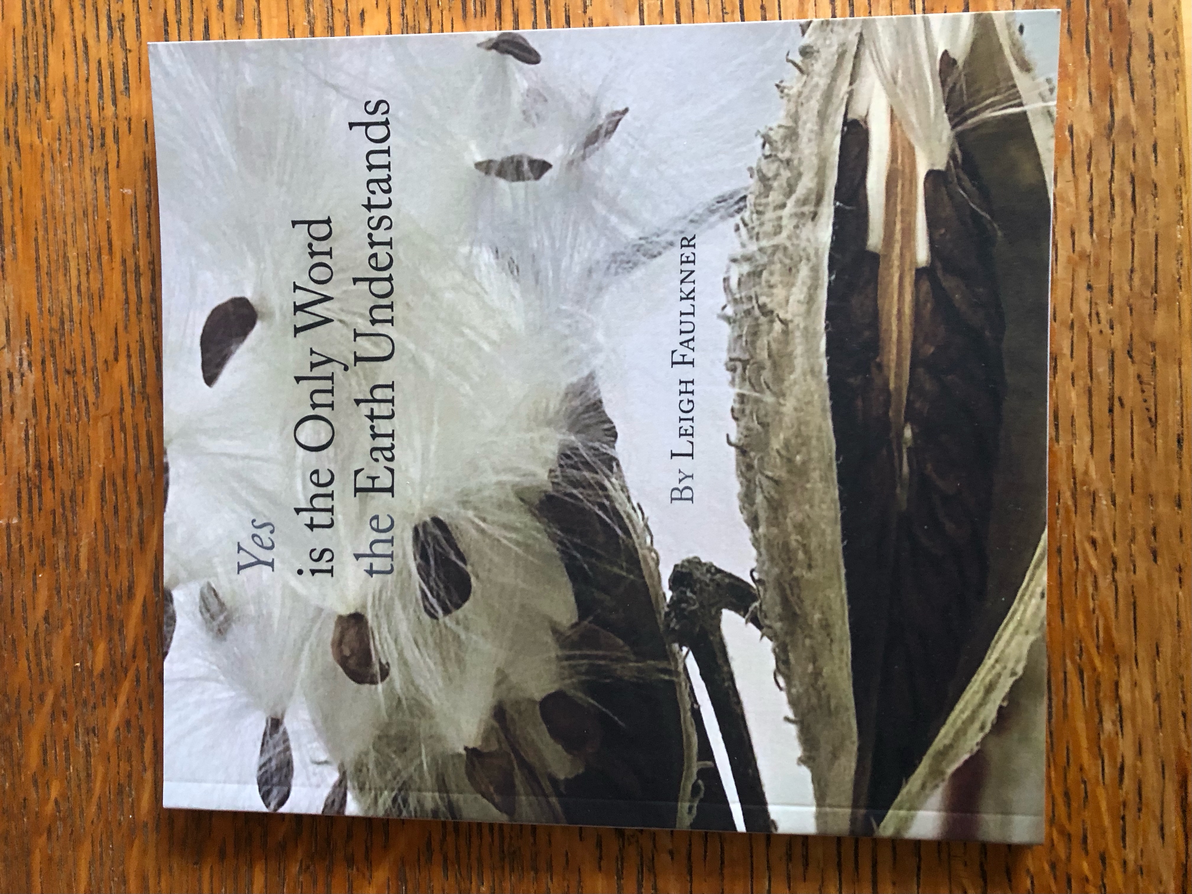 Halifax, June 7, 2025